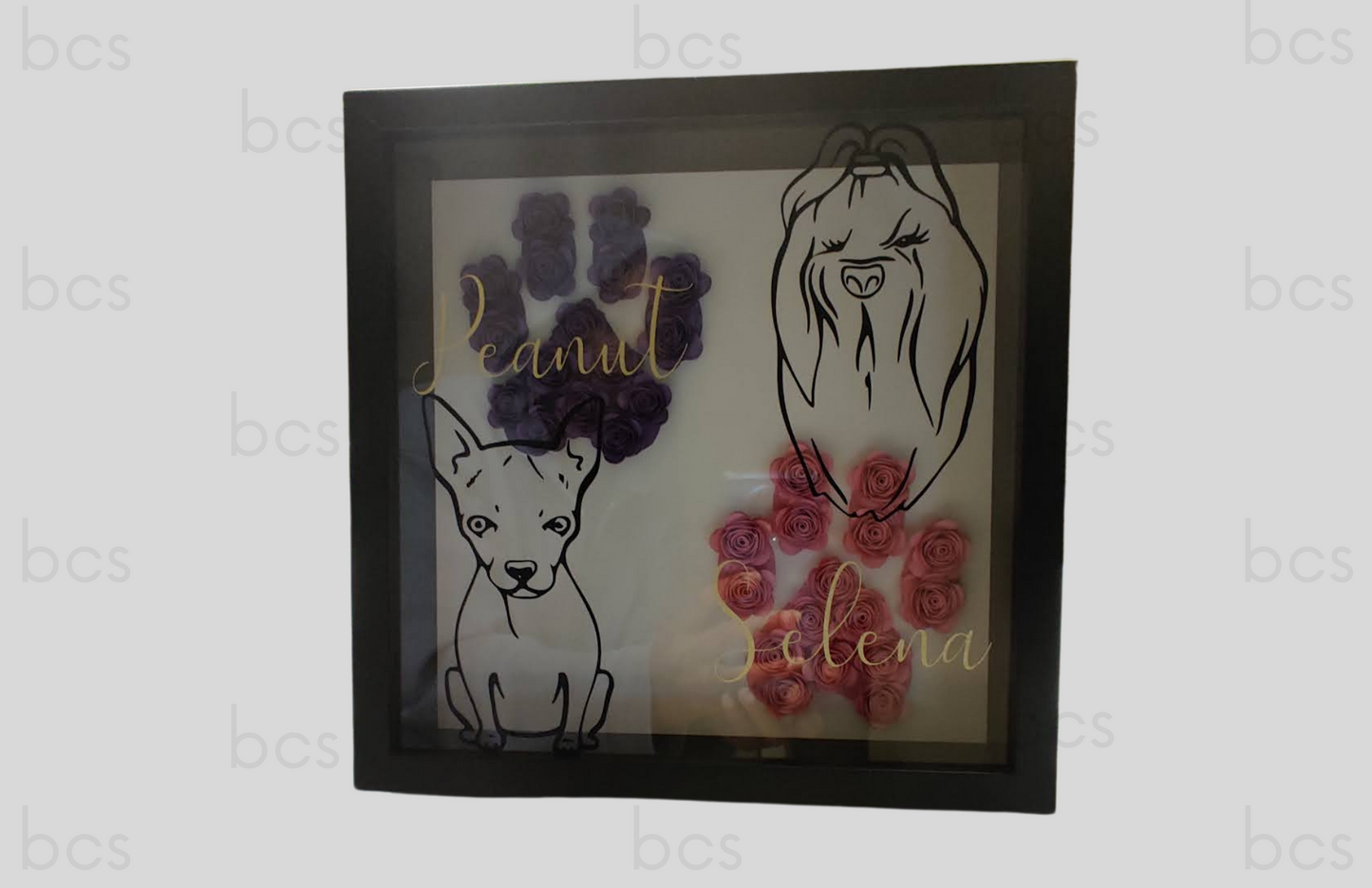 Double Paw Shadow Box