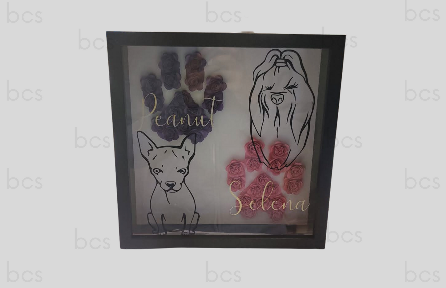Double Paw Shadow Box